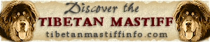 Tibetan Mastiff Info.com 